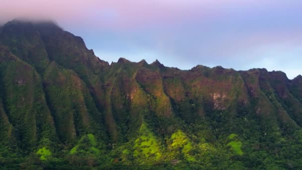Landschappelijk Natuurlandschap Van Hawaï Eiland Epische Oahu Natuur Met Steile — Stockvideo