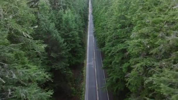 Washingtonin Reissu Kaunis Luonnonkaunis Valtatie Olympic Kansallispuistossa Auto Ajaa Asfalttitietä — kuvapankkivideo