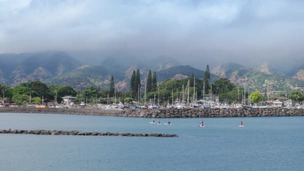 平和港釣りポイントの空中観察 パドルボードに乗っている人々は ヒレワ アリイ ビーチに泳いでいます ハワイ島の自然をモーションバックに 雨雲で覆われた高い緑の山 オアフ — ストック動画