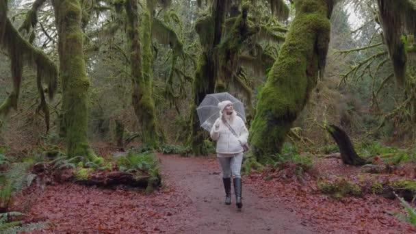Obklopený Zalesněným Tichem Kráčí Reflexní Turistka Pěšině Lemované Prastarými Mechem — Stock video