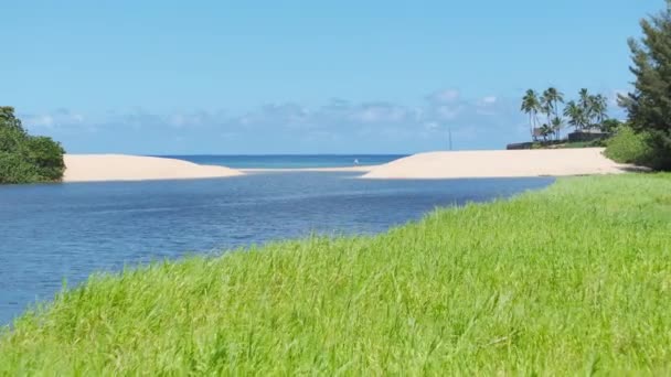 在阳光明媚的夏日 威玛湾海滩 北岸瓦胡岛的美丽自然 从空中无人驾驶飞机向夏威夷岛4K射击 怀米亚河蓝色泻湖 绿海青草 沙滩洁白 — 图库视频影像