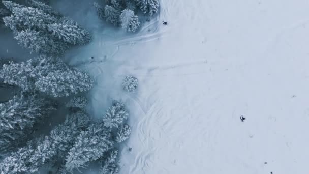 スティーブンス スキーリゾートの2人のスキーヤーのドローン映像 ワシントンで雪が降る冬の日に空中スキー場を登る 松林4Kの雪の斜面でスキーをする2人のスキーヤー — ストック動画