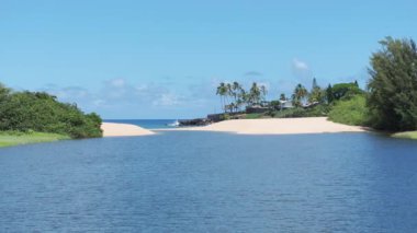 Waimea nehri mavi lagünü, yeşil deniz çimi ve beyaz kumlu plaj. Güneşli yaz gününde Waimea Körfezi Sahili. Kuzey kıyısı Oahu adasının güzel doğası. Hawaii Adası 4K doğanın Dolly hava görüntüsü.