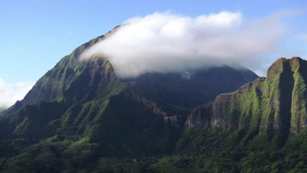 Epic Hawaiian Landscape Copy Background Magical Sunrise Oahu Scenic Nuuanu — Stock Video