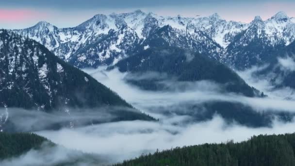 Niebla Escénica Bosque Abetos Nubes Deriva Washington Cinematic Foggy Mountain — Vídeo de stock