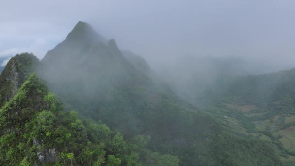Yüksek Dağların Tepesinde Bulut Dramatik Kopya Arkaplanı Yeşil Ormanların Zirvesinin — Stok video