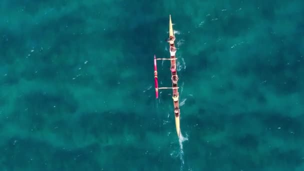 Golpe Arriba Abajo Del Equipo Deportivo Navegando Canoa Outrigger Vista — Vídeos de Stock