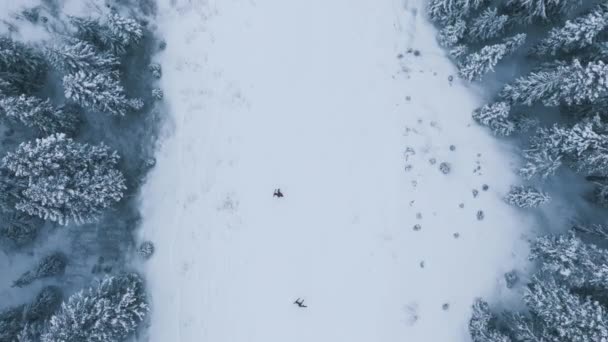 在华盛顿降雪时 冬天从空中滑雪场俯冲而下 两个滑雪者在松林的雪坡上滑行 美国雪山史蒂文斯山口滑雪场滑雪者的无人驾驶镜头 — 图库视频影像