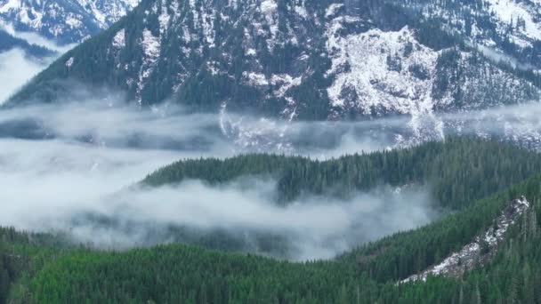 トワイライトの北カスケードの風景の霧のクリーニング 緑豊かな森で美しい冬の山 スプルース フォレストの風景ミス ワシントンで流れる雲 シネマティックフォギーマウンテンバレー — ストック動画