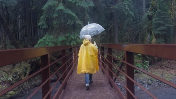 黄色いレインコートの人が木製の橋を渡って自信を持って歩き 霧で覆われたエバーグリーンの背景に明確な傘で囲まれています 雨が降っている フッテージ — ストック動画