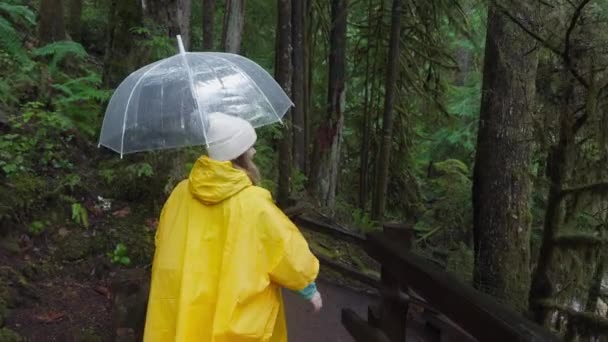 身穿黄色雨衣的女人从一座木桥上凝视着茂密的森林 静谧沉思 带着一把透明的雨伞 影像4K — 图库视频影像