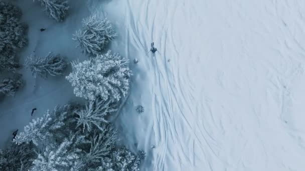 Vue Aérienne Ralenti Skieur Glissant Long Forêt Hiver Cinématographique Descendant — Video