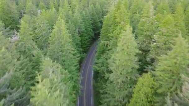 Yhdysvaltain Matkailualan Käsite Ilmavaunut Ajavat Kaunista Moottoritietä Pitkin Luonnonkauniissa Metsässä — kuvapankkivideo