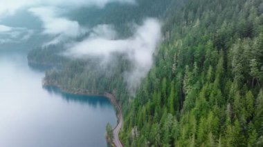Washington yağmur ormanlarını kaplayan gizemli sis. Sis içinde uzun yeşil çam ağaçları. Sisli bir günde Crescent Gölü boyunca manzaralı bir yol. Olimpiyat Ulusal Parkı 'ndaki hava sineması her zaman yeşil orman yolu