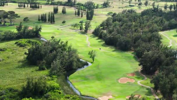 Scenic Drone Shot Grøn Golfbane Med Havudsigt Smuk Golfbane Folk – Stock-video