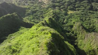 İnsansız hava aracı dağ sırtı boyunca manzaralı zirvelerle uçuyor. Yeşillik arka planı yemyeşil. Hawaii doğa güzelliği altın ışıkta. Oahu seyahat arka planı USA 4K. Güneşli yaz gününde destansı dağ zirveleri