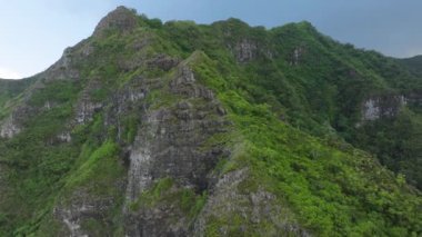 Aktif turizm için vahşi doğa kavramını araştırın. Kahekili Tepesi 'nde Sinen Aslan yürüyüş parkuru. Yeşil ormanlarda açık hava macerası Oahu Adası Hawaii. Bulutlu günde tehlikeli sarp kayalıklar