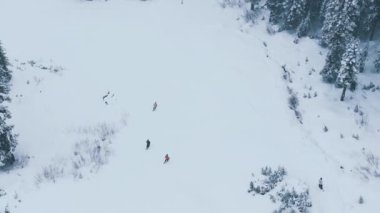 Kış tatilinde sinematik hava kayağı. Washington dağlarında profesyonel kayakçılar. Dağdaki karlı köknar ağaçlarının taze karla kaplı muhteşem manzarası. Stevens Geçidi kayak merkezi manzarası