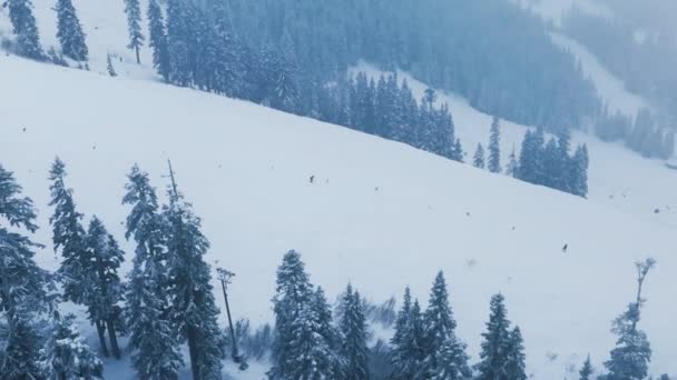 Skigebied Stevens Pass Panorama Cinematografisch Luchtskiën Wintervakantie Professionele Skiërs Washington — Stockvideo