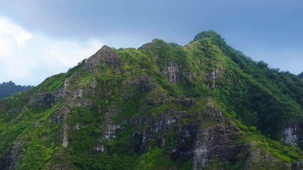 グリーンジャングルオアフ島ハワイでのアウトドアアドベンチャー 放送日には危険な急な崖がある アクティブな観光のための荒野の自然の概念を探索してください カヘキリ リッジの風光明媚なライオンハイキング トレイル — ストック動画
