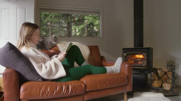 宽松的女性阅读有趣的书籍 在舒适的森林小木屋里的柴火炉边取暖 和灰猫坐在舒适的皮革车厢里的女人 偏远目的地的周末出游人员 — 图库视频影像