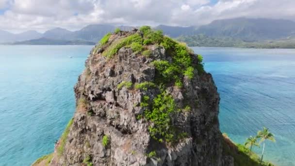 Berühmtes Wahrzeichen Kleine Insel Namens Chinamans Hut Vulkaninsel Mokolii Einem — Stockvideo