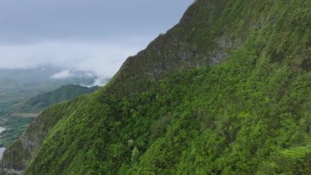 オアフ島でのアウトドアアドベンチャー 緑のジャングルピークの上のシネマティックな景色 ハワイの曇った日のクァロア牧場 風光明媚な美しさ トロピカル自然の風景 雨山の尾根の上を飛行するドローン — ストック動画