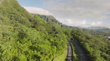 Yeşil dağlardaki manzara tüneli. Oahu adasındaki H3 otoyolunun destansı rotası. Hawaii adası tropikal manzarasının güzel doğası. Cennet adasında yol konsepti yeşil yemyeşil ormanlarla kaplıdır.