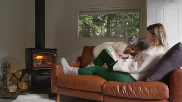 人们在周末去遥远的目的地度假 松驰的女人和灰猫坐在舒适的皮革车厢里 女性阅读有趣的书籍 在舒适的森林小木屋里的柴火炉边取暖 — 图库视频影像