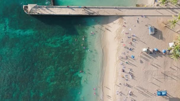 Felülről Lefelé Kilátás Nyílik Gyönyörű Waikiki Strandra Paradicsom Sziget Természet — Stock videók