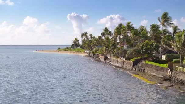화창한 아침에 경치가 아름다운 라니카이 해변의 코코넛 야자수로 둘러싸인 속성을 — 비디오