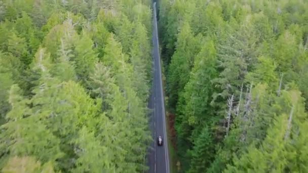 Aerial Auto Ajaa Läpi Kaunis Valtatie Luonnonkauniissa Metsässä Matkustajat Tutkivat — kuvapankkivideo