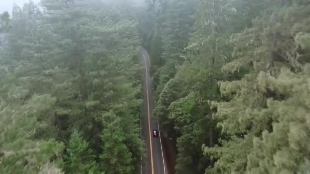 Вид Высоты Птичьего Полета Современный Автомобиль Лесах Национального Парка Редвуд — стоковое видео