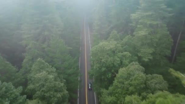 在美国加利福尼亚州红杉国家公园和州立公园 在汽车后面飞行的无人机在路上超速行驶 有松树的风景如画的森林景观 现代汽车在树间行驶 4K镜头 — 图库视频影像