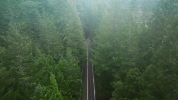 Vôo Drone Atrás Automóvel Que Acelera Estrada Redwood National State — Vídeo de Stock