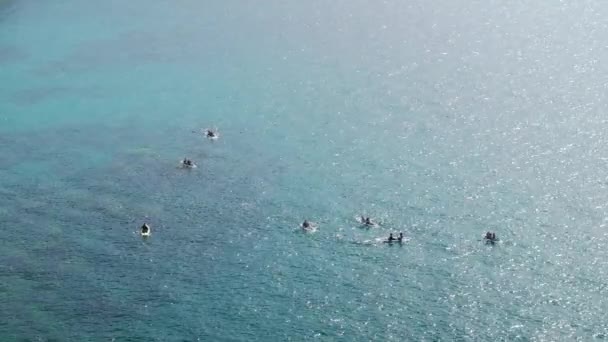 Воздушный Вид Каякеров Гребущих Мерцающей Поверхности Озера Тахо Захватывающий Суть — стоковое видео