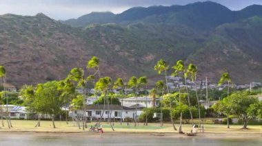 Oahu kıyısı boyunca sallanan palmiye ağaçları, uzaktaki dağların yükseldiği yerel bir parkı çerçeveliyor. Çekim 4K. 