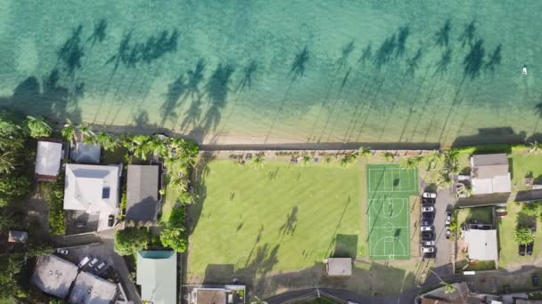 オハウス海岸の緑豊かなサッカー場は 隣接するクリスタルクリア海域に長いヤシの影を投げかけます 上からの活気あふれる光景 フッテージ — ストック動画
