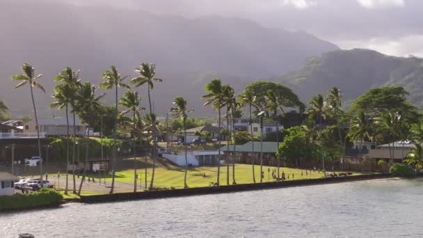 Spokojne Popołudnie Oahu Piłką Nożną Rozgrywa Się Polu Społeczności Otoczony — Wideo stockowe