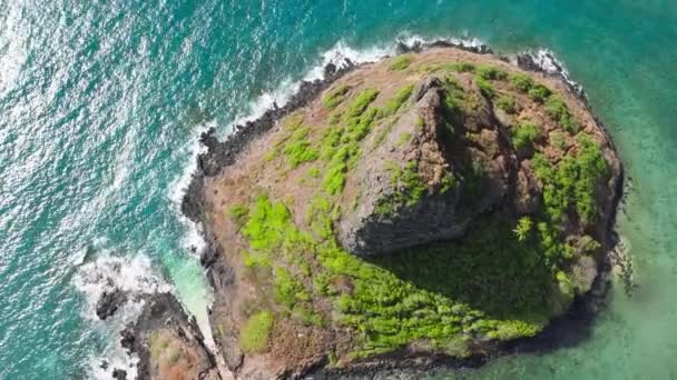 Beeindruckende Einzigartige Ökosysteme Und Umwelt Auf Hawaii Berühmtes Wahrzeichen Kleine — Stockvideo