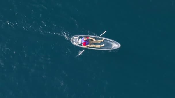 Kayak Solo Mueve Con Propósito Través Los Lagos Tahoe Azul — Vídeo de stock