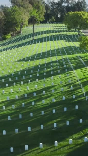 Вертикальне Відео Національне Кладовище Поховані Всі Члени Збройних Сил Національне — стокове відео