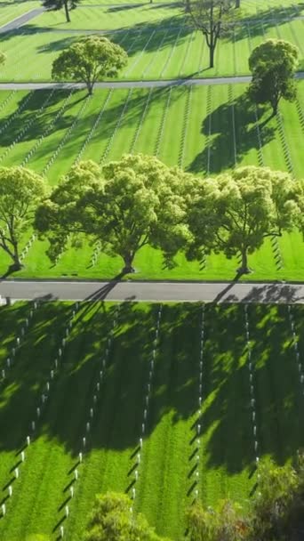 Verticale Video Luchtfoto Los Angeles National Cemetery California Usa Vliegen — Stockvideo