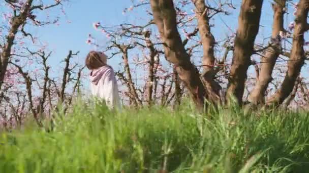 女游客在一排排茂密的树旁散步时 喜欢轻柔的华丽华丽的花朵 身穿休闲装的年轻高加索女人摸着杏树枝条 高质量的4K镜头 免版税图库视频