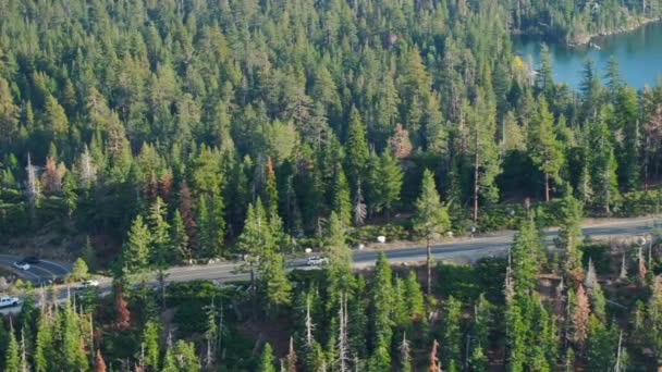 캘리포니아주 Lake Tahoe 나무가 밀집한 숲길을 운전하세요 도로는 단풍의 조밀한 로열티 프리 스톡 푸티지