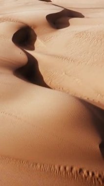 Dikey video. Sabahın erken saatlerinin altın renkleri uçsuz bucaksız bir çölün pürüzsüz, dalgalı kumullarını siler. Güneşin düşük açısı kıvrımları vurgulayan karmaşık, uzun gölgeler yaratır.