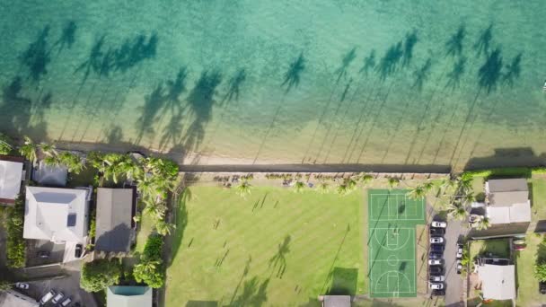 Ondas Suaves Oahus Escova Costa Contra Praia Areia Como Uma — Vídeo de Stock