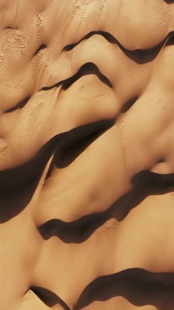 Vertical Video Detailed View Sand Dune Showcasing Intricate Patterns Textures Стоковый Видеоролик