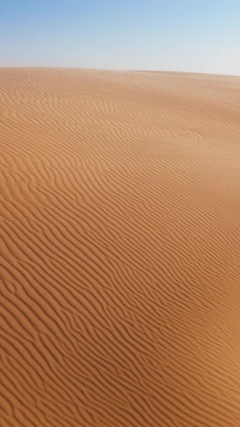 Függőleges Videó Hatalmas Üres Táj Sivatag Hullámzó Homokdűnéit Mutatja Melyek — Stock videók