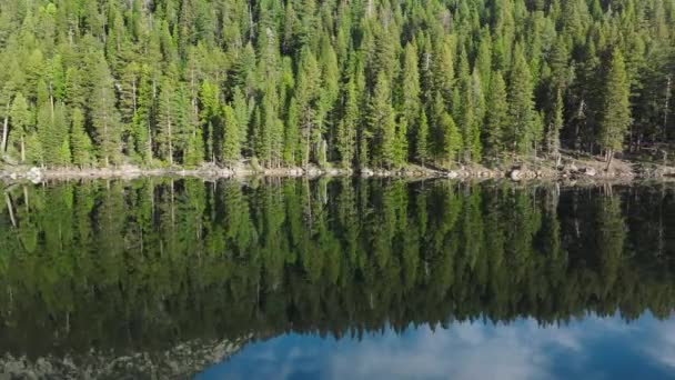 Εξερευνήστε Ένα Κρυστάλλινο Σώμα Νερού Ανάμεσα Πανύψηλα Δέντρα Ένα Καταπράσινο — Αρχείο Βίντεο